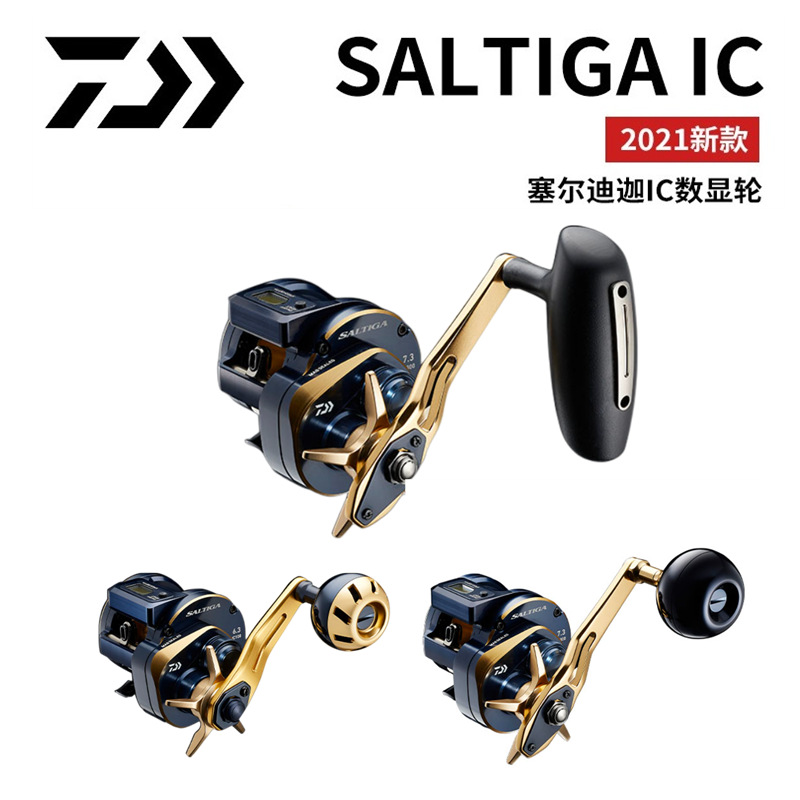 21 Japanese DAIWA Daiwa SALTIG - Baitcasting Reel review and price